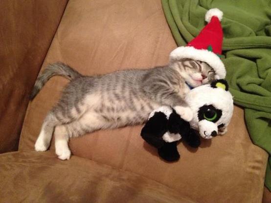 188768_512170652150896_1555987310_n[1]