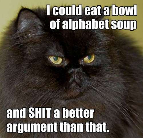 i-could-eat-a-bowl-of-alphabet-soup-cat-cats-kitten-kitty-pic-picture-funny-lolcat-cute-fun-lovely-photo-images[1]