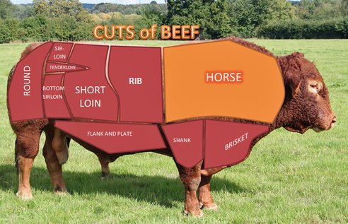 cuts-of-beef-horse.jpg.492x0_q85_crop-smart[1]