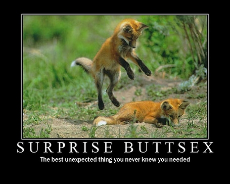 surprise-buttsex
