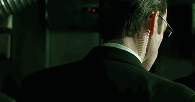 Neo+s+cat_306d48_4999257[1]