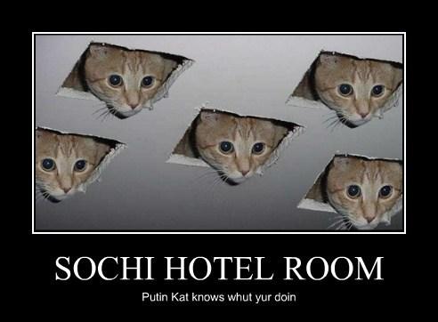 Sochi-hotel-Putin-cat[1]