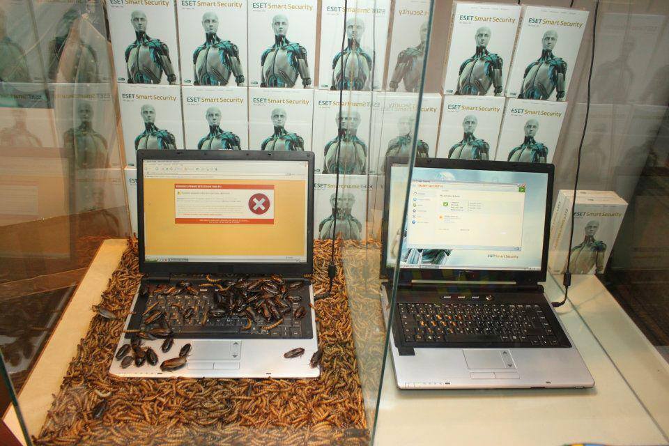 10001325_10152341910150908_353011484_n[1]