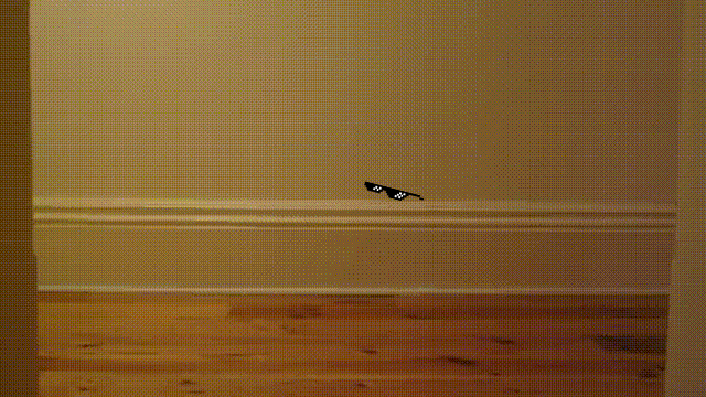 And+I+can+t+even+stand+on+one_3d35df_5149491