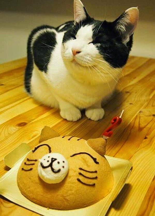 happy-birtday-kitty