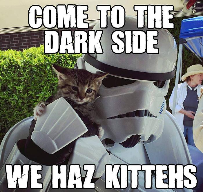 come-to-the-dark-side