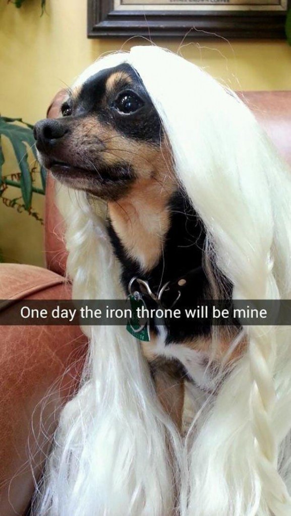 20cfffb7-6e95-4bc5-80ca-18cdf6497c60_165744[1]