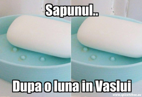 11053318_854986054570152_878244379545840472_n[1]