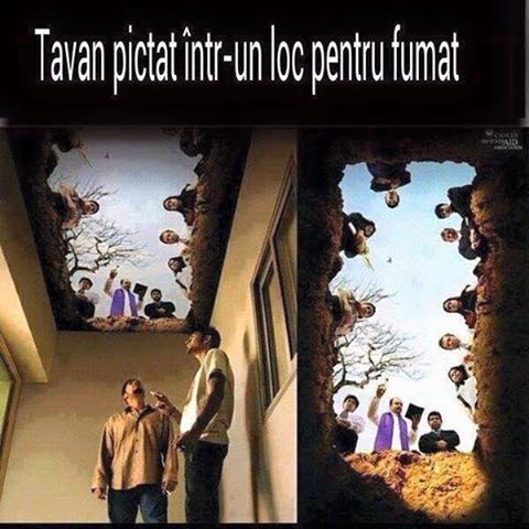 12115662_10206682958144350_7882845888748249459_n[1]