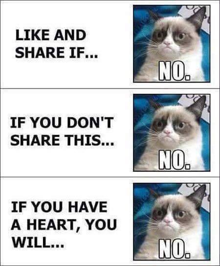 grumpy cat memes