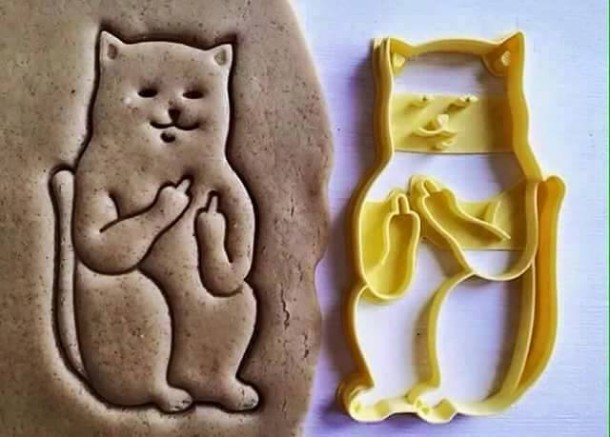 how to make cat biscuits