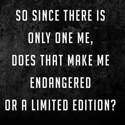 funny amusing pictures