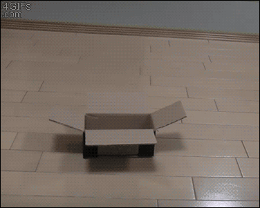 funny awesome GIF