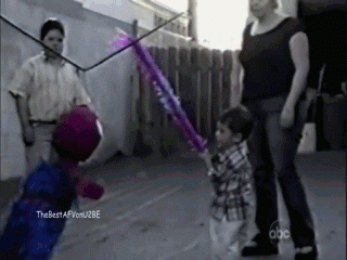 funny GIFs