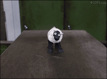 awesome funny GIF
