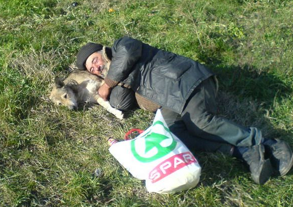 animale haioase, poze amuzante, poze animale