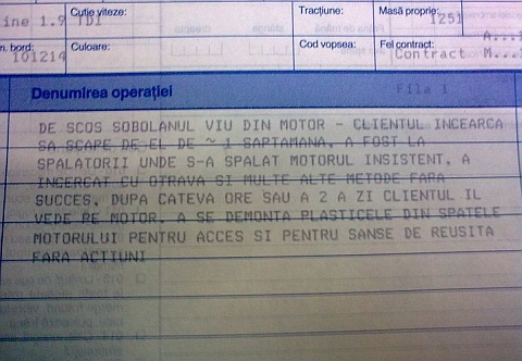 fail reparatie service