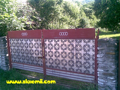 poze amuzante gard audi