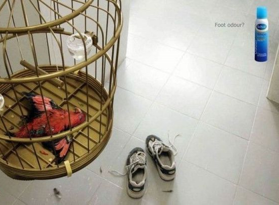 imagini amuzante, imagini haioase, fail, funny, reclame amuzante