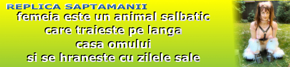 replici haioase vorbe de duh